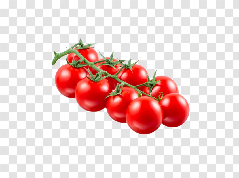 Plum Tomato Bush Cherry Food Vegetable - Local Transparent PNG