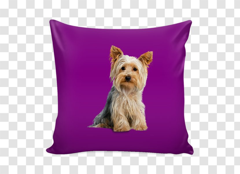 Yorkshire Terrier Bichon Frise Boston Pillow Cairn - Throw Pillows - Pawpaw Transparent PNG