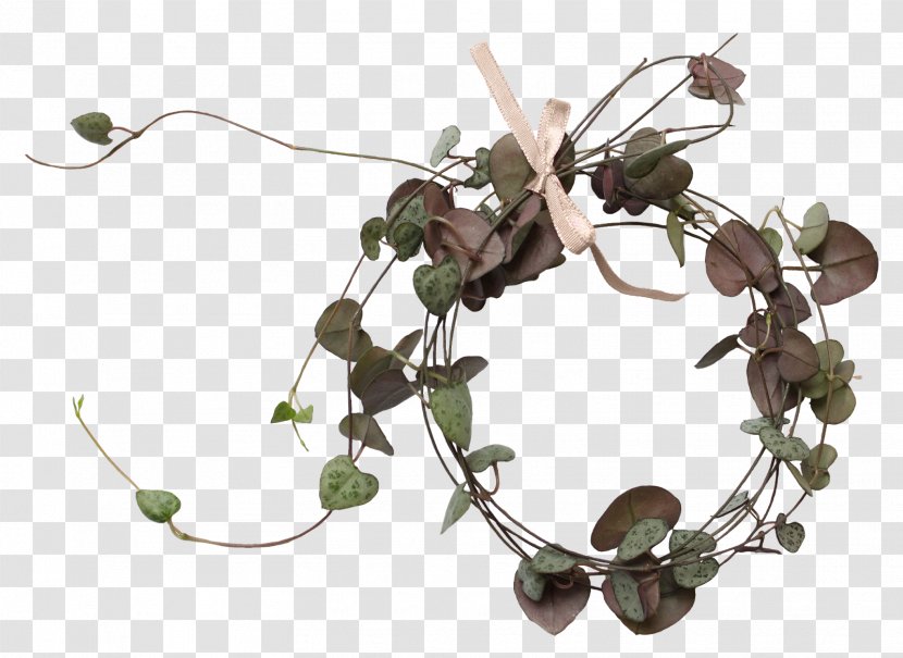 Twig - Branch - Tree Transparent PNG