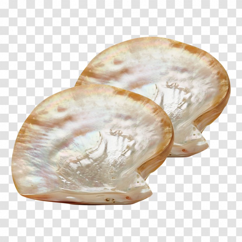Plate Nacre Pearl Oyster Caviar Spoon Transparent PNG