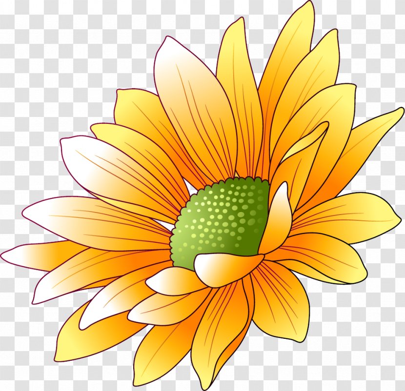 Common Sunflower Clip Art - Dahlia Transparent PNG