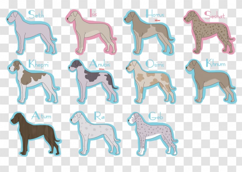 Dog Breed Puppy Sporting Group Font - Tail Transparent PNG