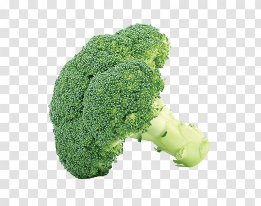 Broccoli Slaw Vegetable Cauliflower Clip Art - Superfood Transparent PNG