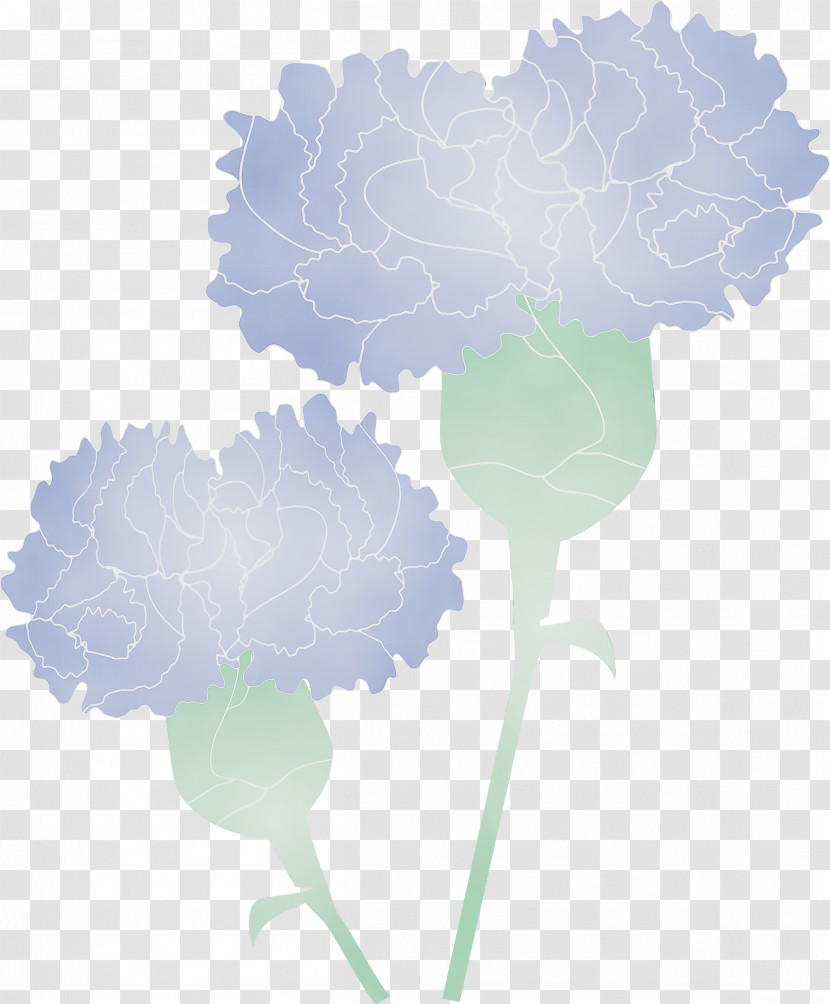 Cloud Leaf Plant Flower Carnation Transparent PNG