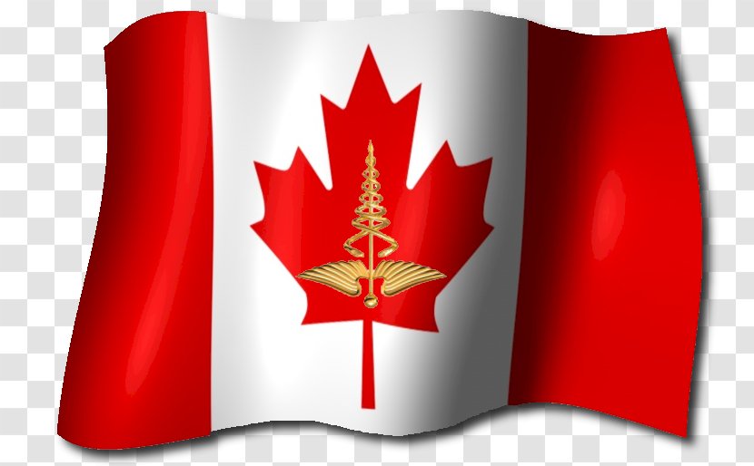 Health Care System Healthcare In Canada Ontario Transparent PNG