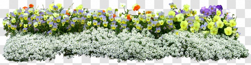 Flower Download Plant - Grass Transparent PNG