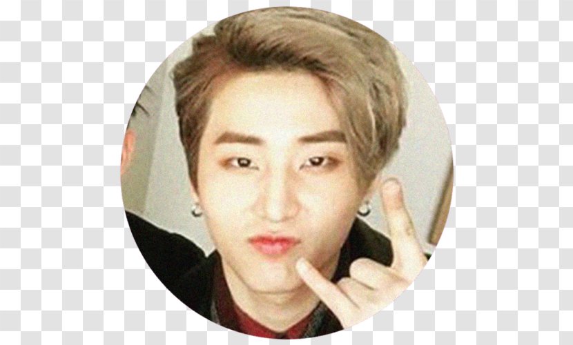 Eyebrow Cheek Hair Coloring Chin Forehead - Eyelash - Nose Transparent PNG