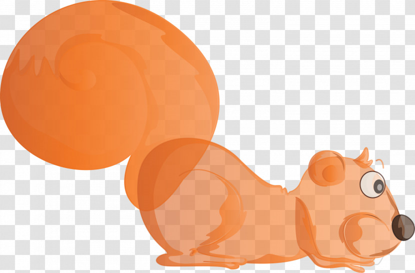 Squirrel Transparent PNG