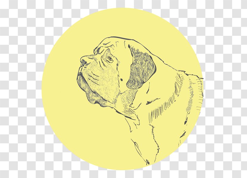 Dog Breed Puppy Illustration Sketch Transparent PNG