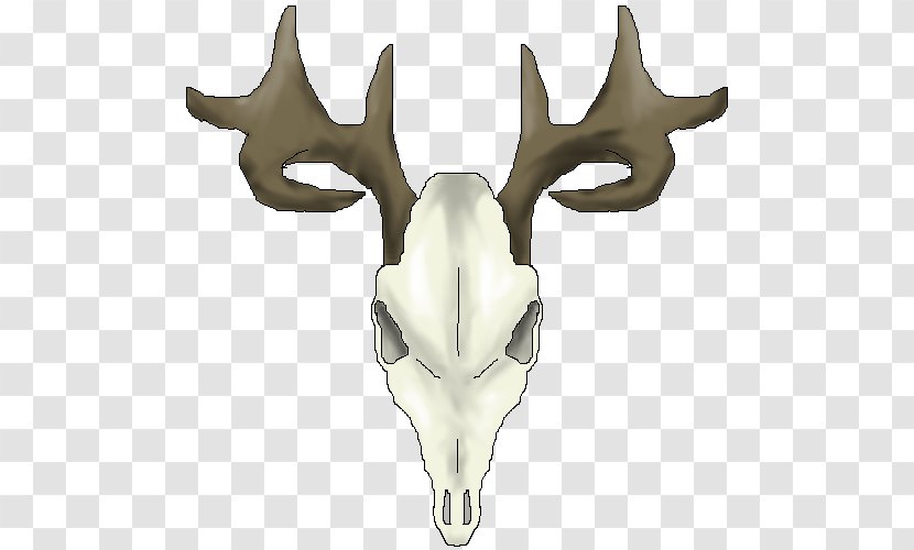 White-tailed Deer Reindeer Skull Clip Art - Digital - Drawings Of Skulls Transparent PNG