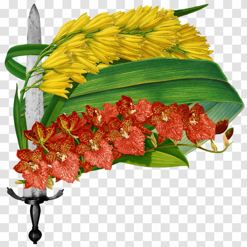 Floral Design Cut Flowers Leaf - Botany - And Foliage FIG Sword Transparent PNG