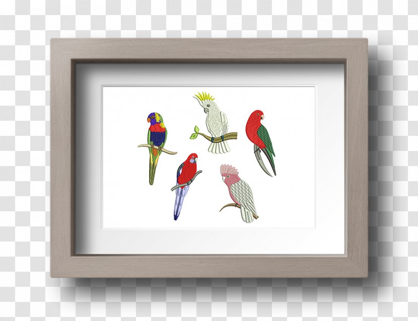 Macaw Parakeet Beak Feather Picture Frames - Frame Transparent PNG
