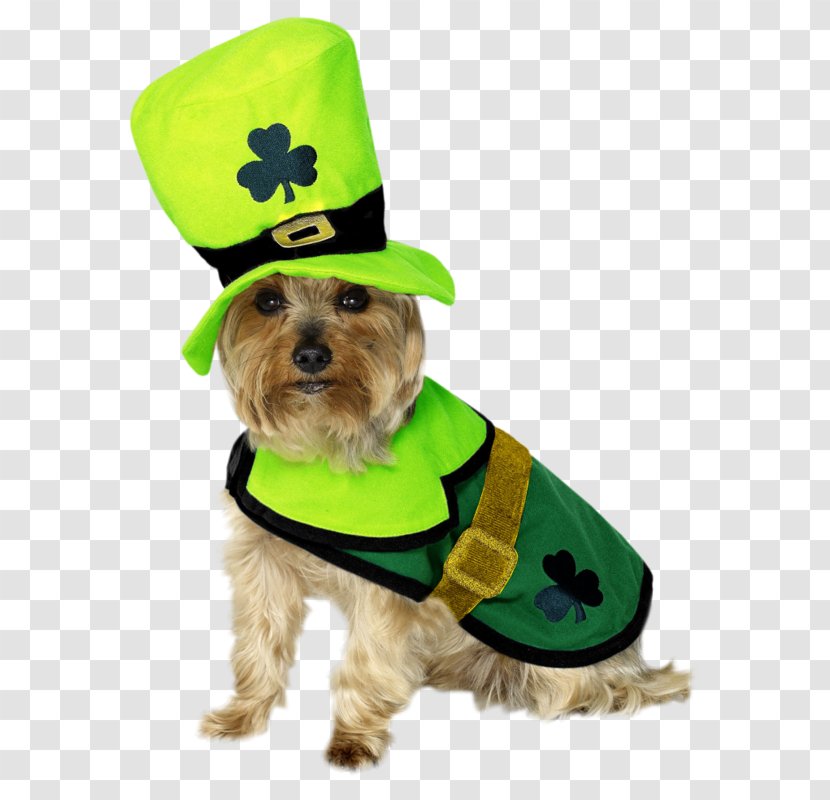 Saint Patrick's Day Dog Clothing Costume Dress - Party - Patricks Transparent PNG