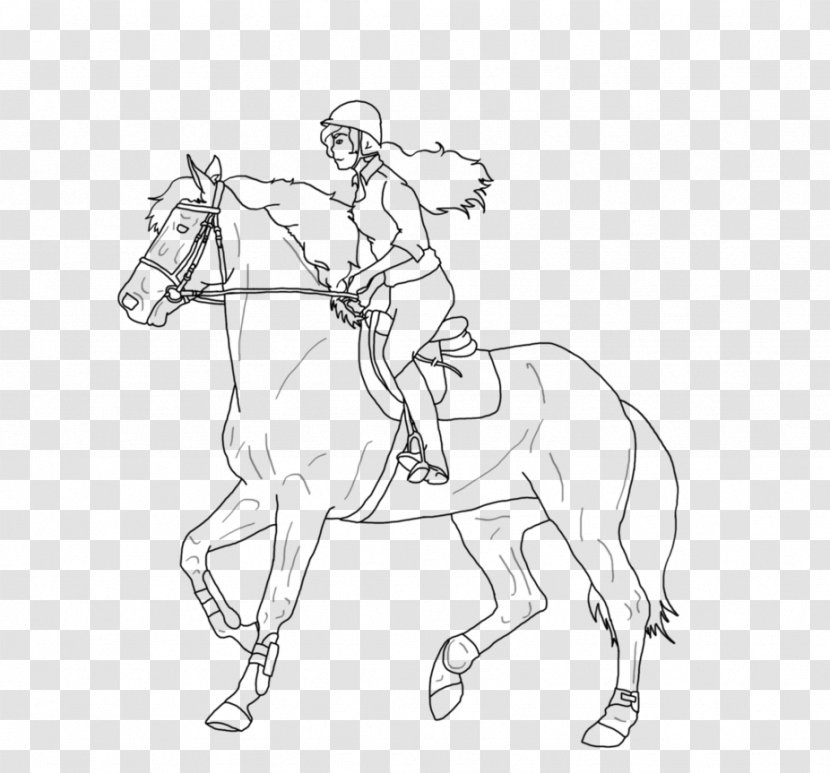 Line Art Horse Bridle Equestrian Mane - Cartoon Transparent PNG