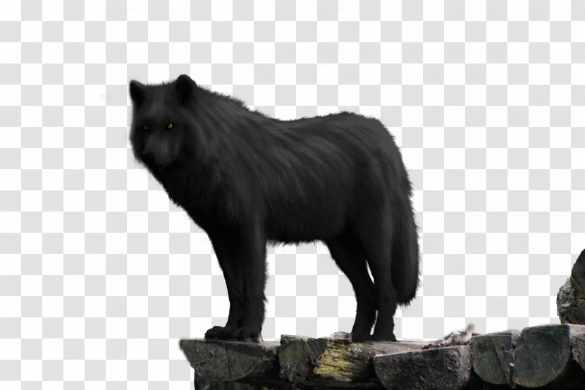 Black Wolf Walking Dog Animal Eastern - Fur Transparent PNG