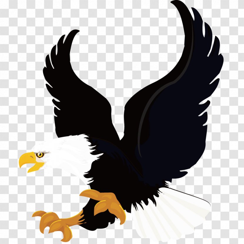 Stock Illustration Vexel - Eagles Soar Transparent PNG