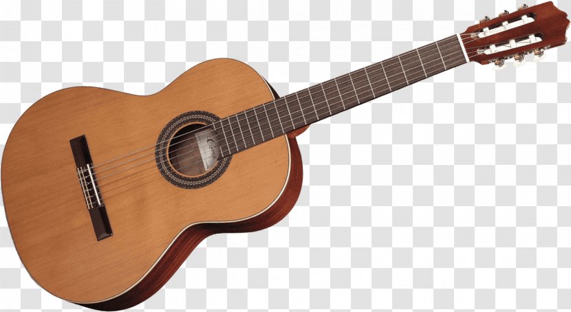 Acoustic Guitar Acoustic-electric Takamine Pro Series P3DC Guitars - Frame Transparent PNG