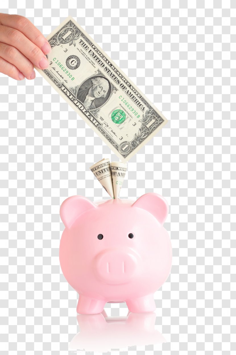 United States Dollar Money Piggy Bank Saving Stock Photography - Banknote Transparent PNG