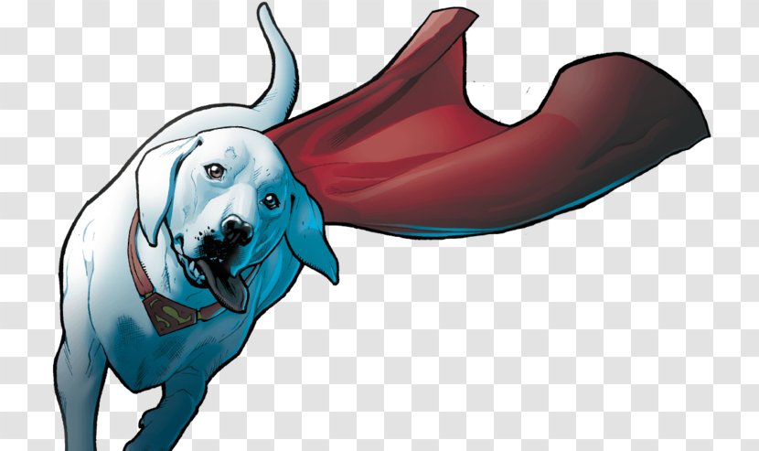 Dog Marine Mammal Snout Clip Art - Flower - Dc Heroes Transparent PNG