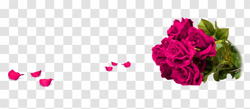 Champagne Garden Roses Beach Rose Petal Flower Bouquet - Brand - Purple Decoration Pattern Transparent PNG