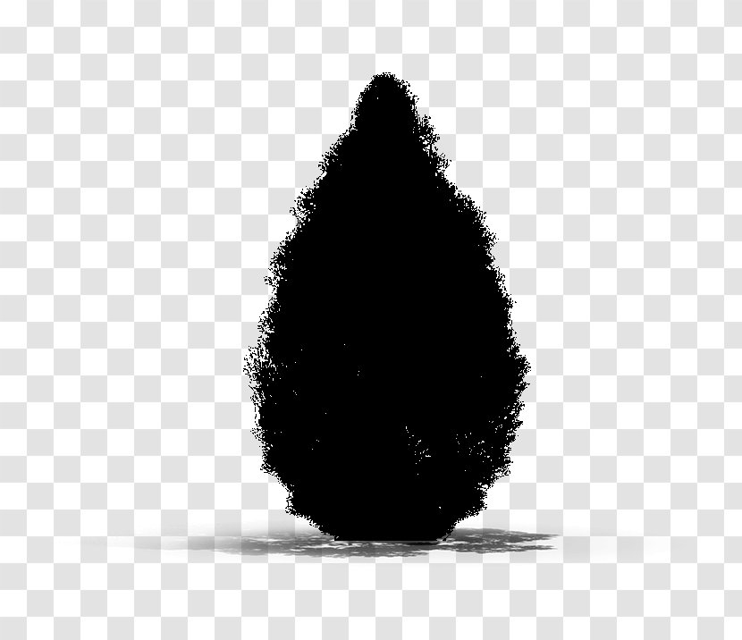 Black & White - M Tree Transparent PNG