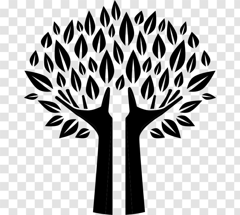 Clip Art Tree - Sticker Transparent PNG