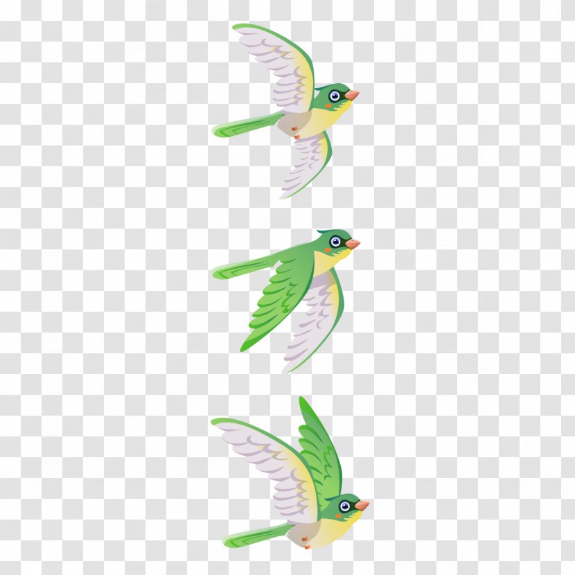 Bird Parrot Green - Birds Transparent PNG