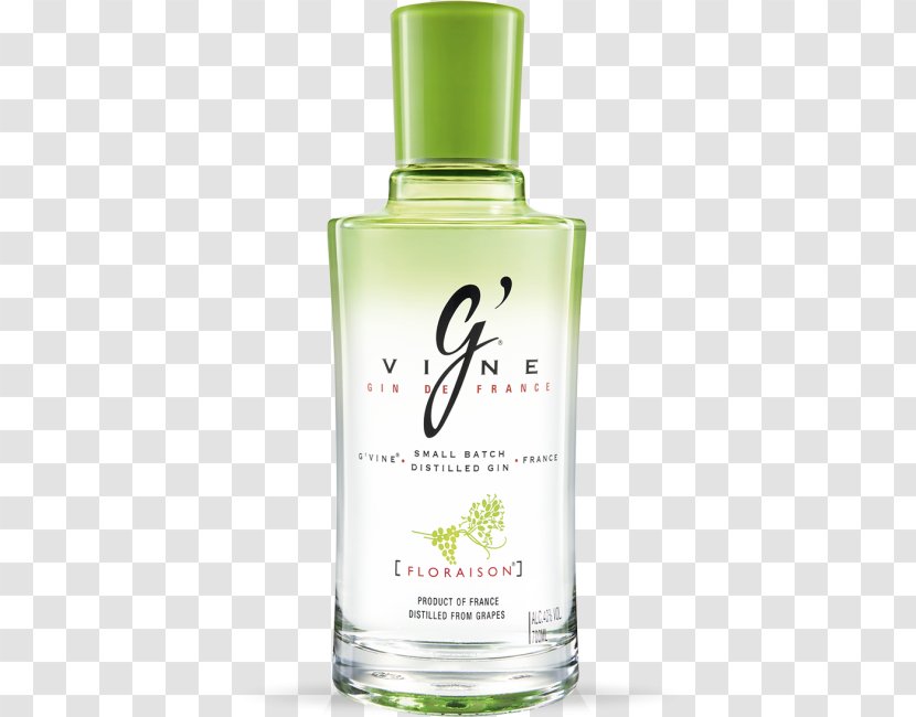 Gin Common Grape Vine Distilled Beverage Cognac Aguardiente Transparent PNG