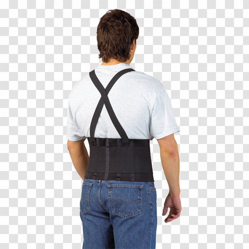 Belt WNL Safety Products Portwest Personal Protective Equipment Clothing - Human Back Transparent PNG