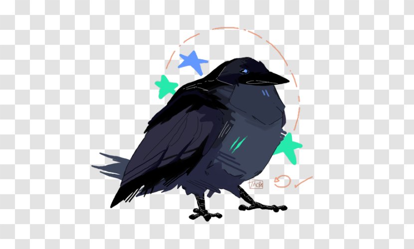 American Crow Bird Rook New Caledonian - Perching - Whirlwind 13 0 1 Transparent PNG