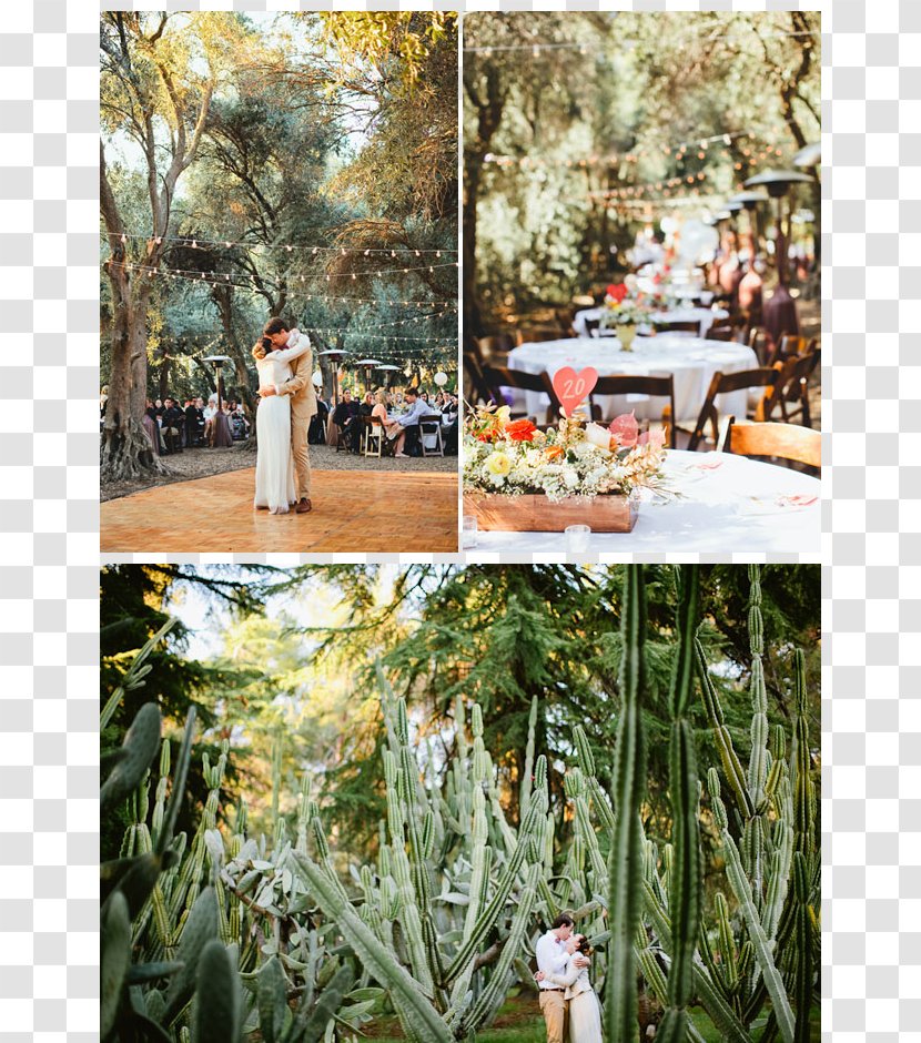 Floral Design Wedding Photography Bridegroom - Flower Arranging - Lawn Transparent PNG