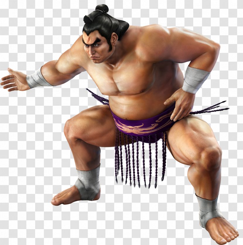 Tekken Tag Tournament 2 5 - Flower - Wrestlers Transparent PNG