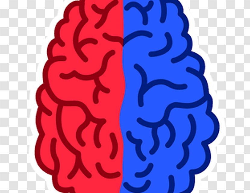 Word Search Brain Game App Left Vs Right: Training Exercise Lateralization Of Function - Silhouette Transparent PNG