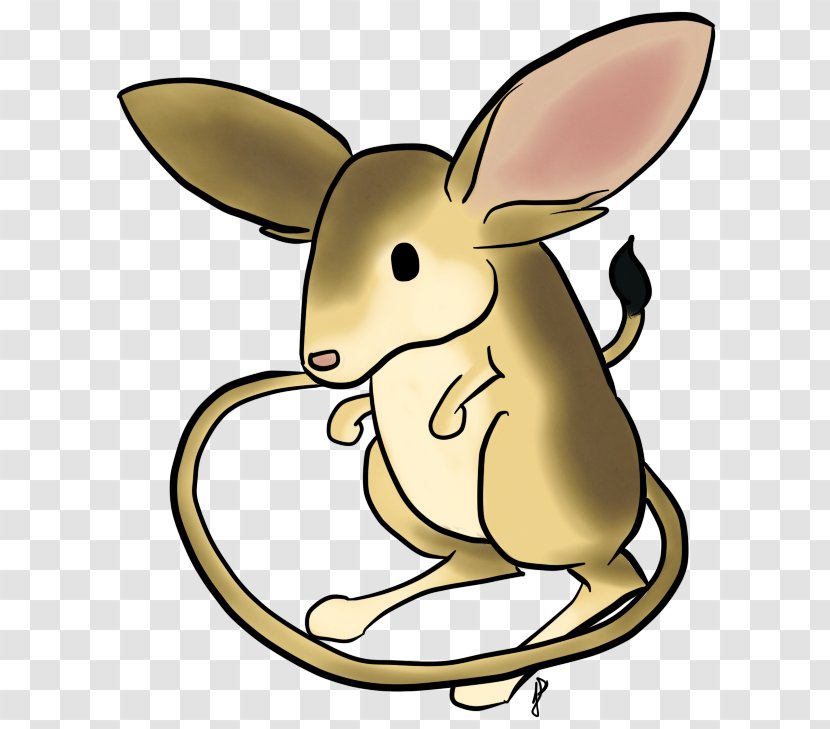 Domestic Rabbit Hare Macropodidae Clip Art Transparent PNG