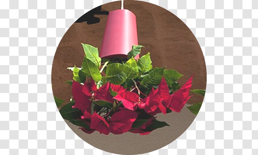 Floral Design Flowerpot Window Box Vase Garden - Polygon City Flyer Transparent PNG