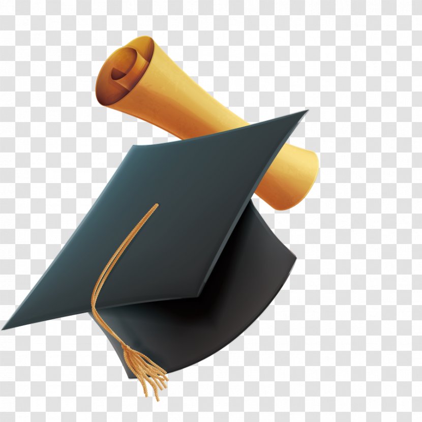 Hat Bachelors Degree Designer - Cap - Bachelor Vector Transparent PNG