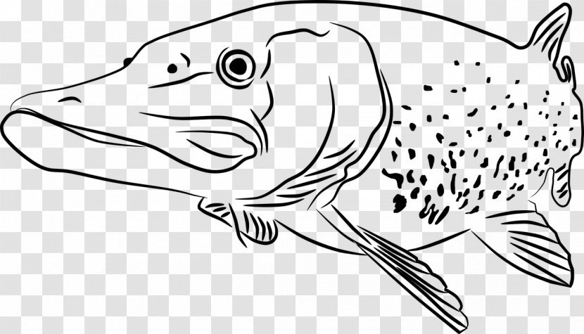 Fishing Cartoon - Line Art - Bonyfish Rayfinned Fish Transparent PNG