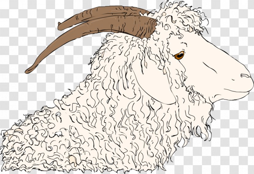 Sheep Angora Goat Cattle Mohair Wool - Horn - Images Transparent PNG