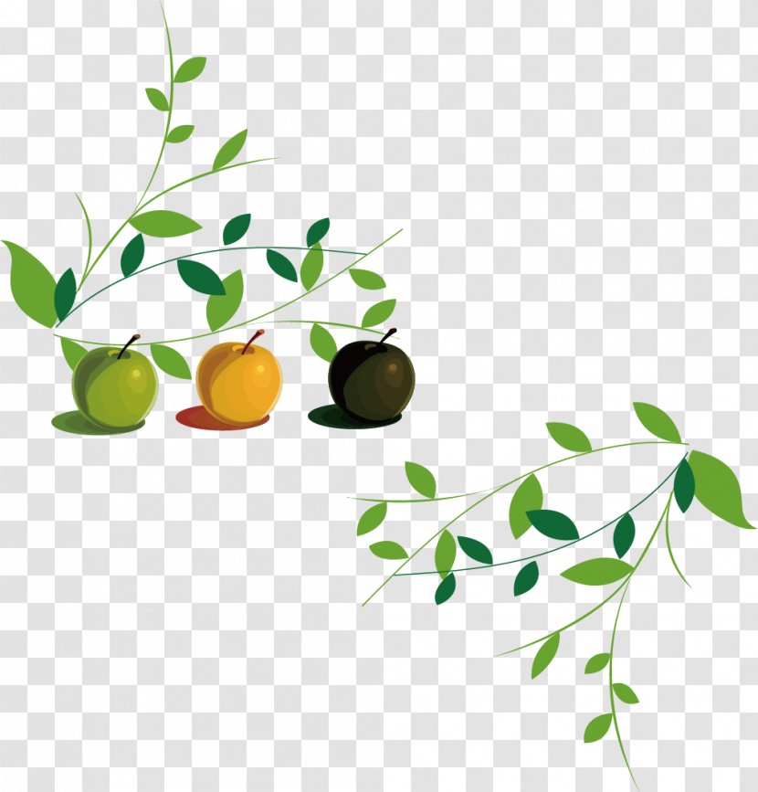 Stock Illustration Photography - Green - Apple Leaves Transparent PNG
