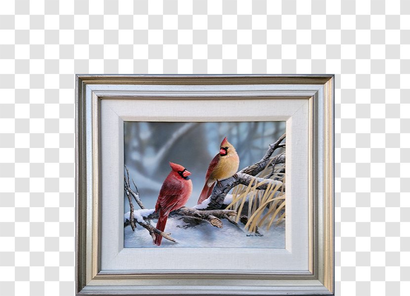 Bird Northern Cardinal Desktop Wallpaper Feather - House Finch Transparent PNG