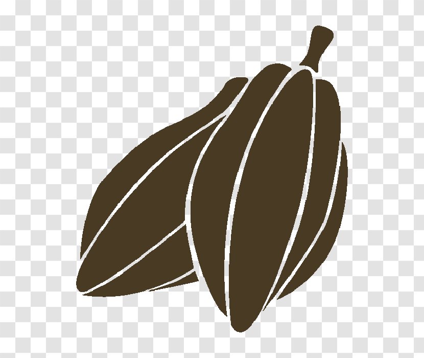 Cocoa Bean Chocolate Theobroma Cacao Transparent PNG