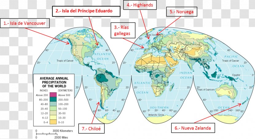 World Water Resources Map Organism - Area Transparent PNG