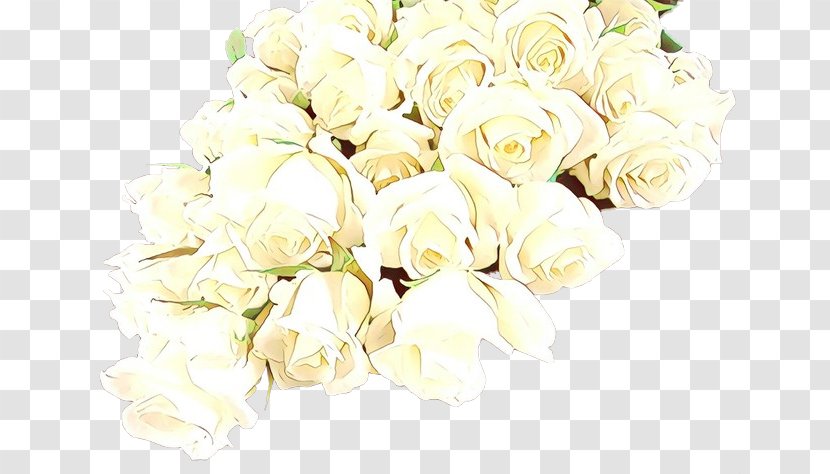 Garden Roses - Cut Flowers - Flowering Plant Rose Family Transparent PNG