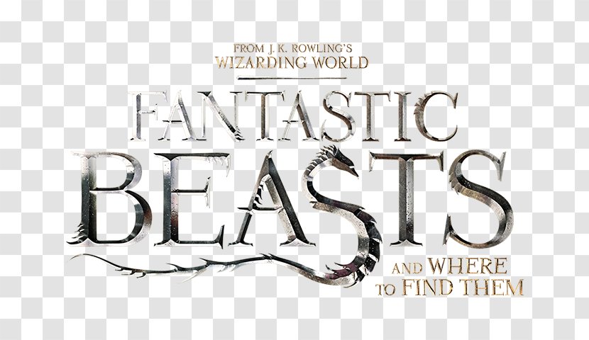 Newt Scamander Fantastic Beasts And Where To Find Them Film Series YouTube Harry Potter - Katherine Waterston - Wizarding World Of Transparent PNG