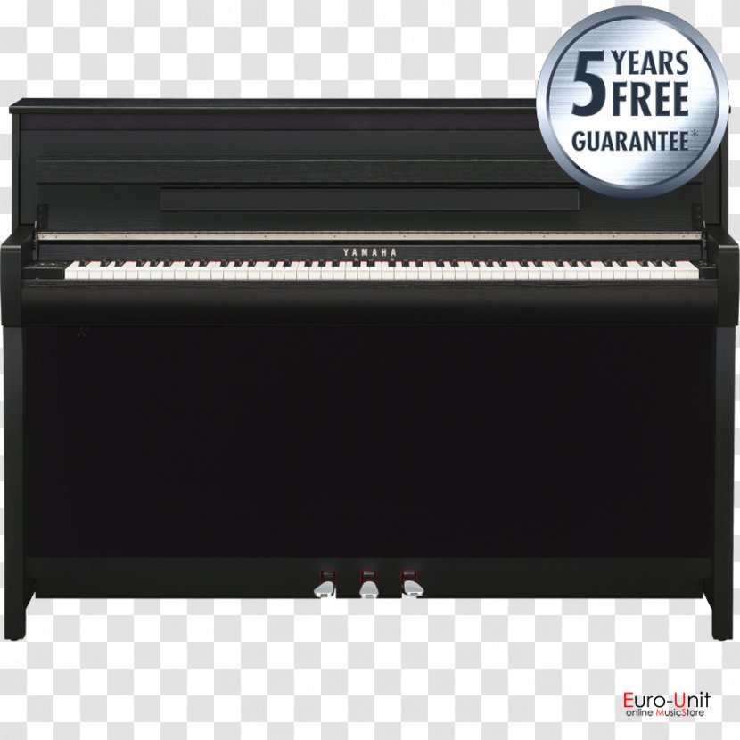 Digital Piano Electric Musical Keyboard Player Pianet - Frame Transparent PNG