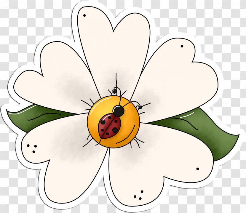 Floral Design Insect Cut Flowers Clip Art - Flower Transparent PNG