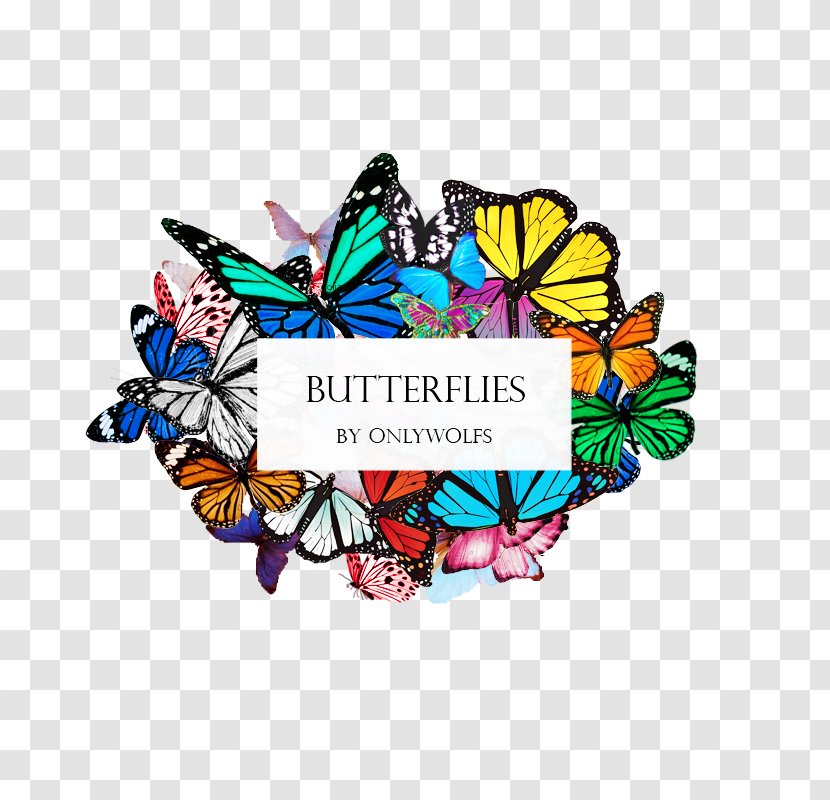 Butterfly DeviantArt - Qutb Minar Transparent PNG