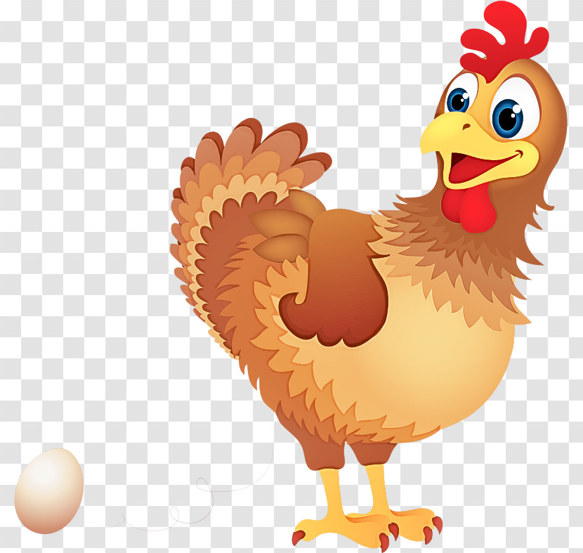 Chicken Bird Rooster Cartoon Beak Transparent PNG