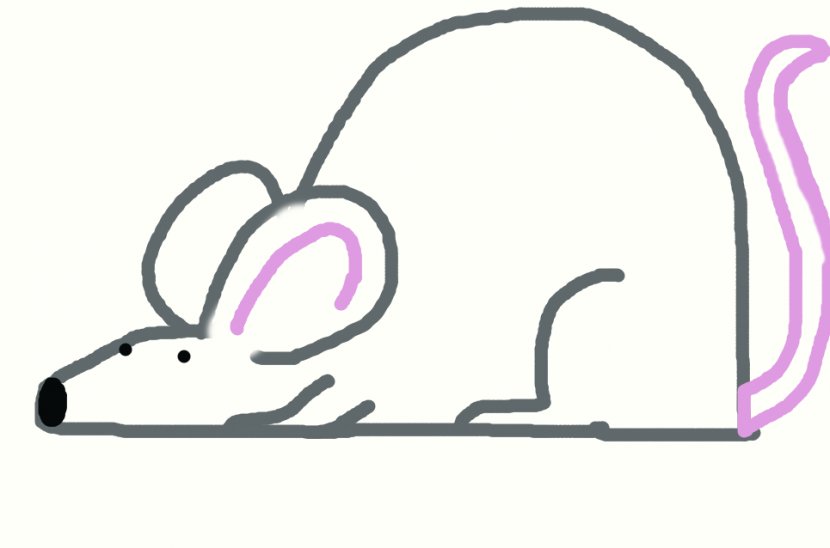 Black Rat Drawing Cartoon Clip Art - Tree - Picture Of A Transparent PNG