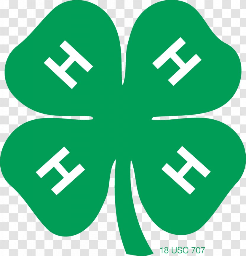 United States 4-H Clover Organization Youth - Area - Four Leaf Clipart Transparent PNG